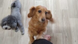 朝のお時間　2025/6/19