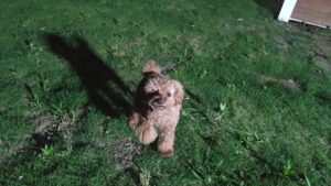 夜のお時間　2025/6/19