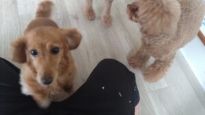 朝のお時間　2025/6/20