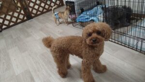 夜のお時間　2025/6/20