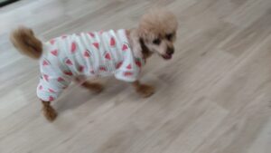 午前のお時間　2025/6/21