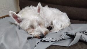 夜のお時間　2025/6/21