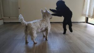 朝のお時間　2025/6/22