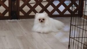 夜のお時間　2025/6/22