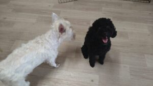 朝のお時間　2025/6/22