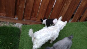 夜のお時間　2025/6/23