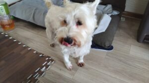 朝のお時間　2025/6/24