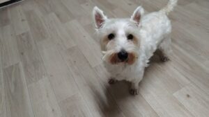 夜のお時間　2025/6/24