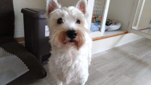 朝のお時間　2025/6/25