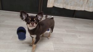 夜のお時間　2025/6/25