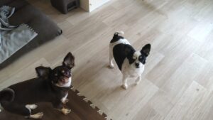 朝のお時間　2025/6/26