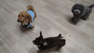 夜のお時間　2025/6/26