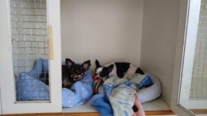 朝のお時間　2025/6/27