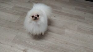 夜のお時間　2025/6/27