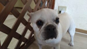 朝のお時間　2025/6/28