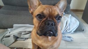 夜のお時間　2025/6/28