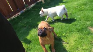 朝のお時間　2025/6/29