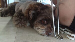 朝のお時間　2025/6/30