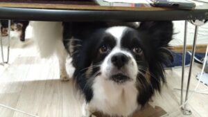 夜のお時間　2025/6/30