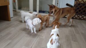 午前のお時間　2025/7/12