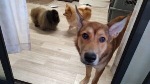 夜のお時間　2025/7/12