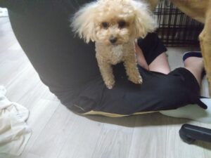 午前のお時間　2025/7/13