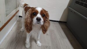 夜のお時間　2025/7/13