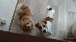 朝のお時間　2025/7/14