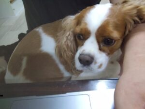 夜のお時間　2025/7/14