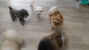 朝のお時間　2025/7/15