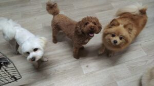 夜のお時間　2025/7/15