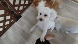 朝のお時間　2025/7/16