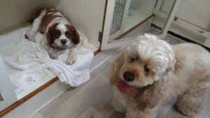 夜のお時間　2025/7/16