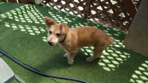 朝のお時間　2025/7/17