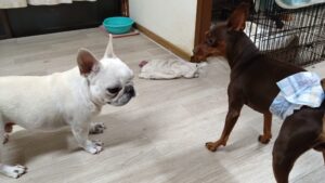 夜のお時間　2025/7/17