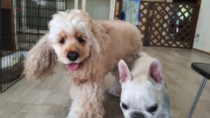 午前のお時間　2025/7/17