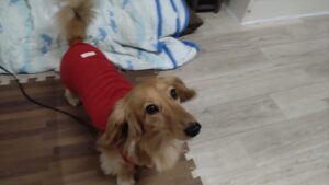 夜のお時間　2025/7/18