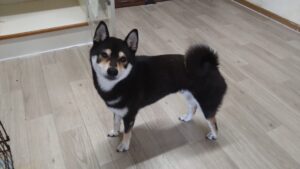 午前のお時間　2025/7/19