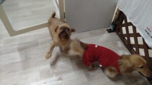 夜のお時間　2025/7/19