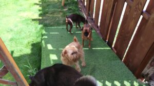 午前のお時間　2025/7/20