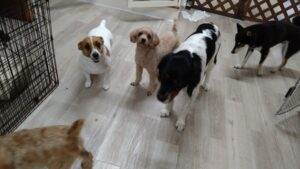 夜のお時間　2025/7/20