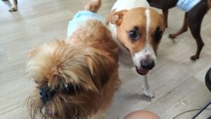 朝のお時間　2025/7/21