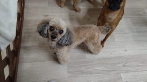 夜のお時間　2025/7/21