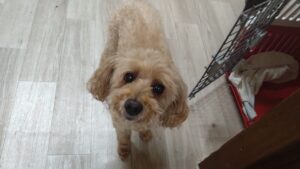 夜のお時間　2025/7/22