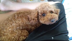 朝のお時間　2025/7/23