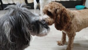 夜のお時間　2025/7/22