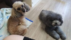 午前のお時間　2025/7/24