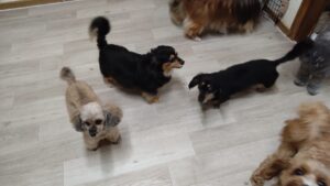 夜のお時間　2025/7/24