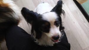 朝のお時間　2025/7/25