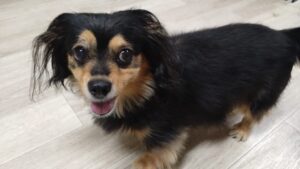 夜のお時間　2025/7/25